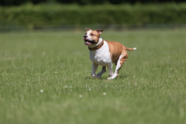 Cs3Q5229 20469790176 O