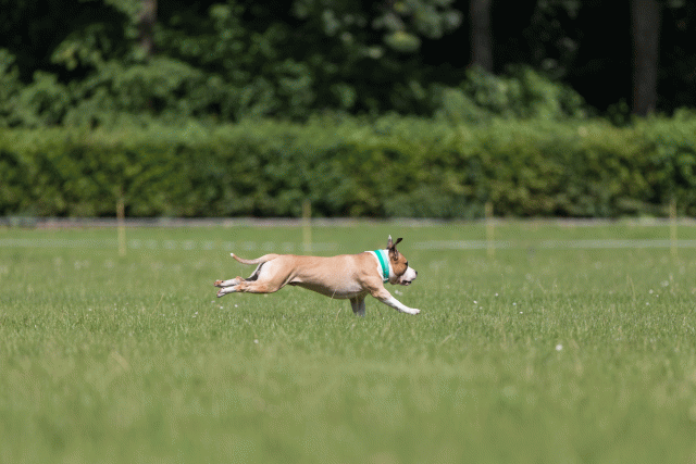 Cs3Q5219 20469803176 O