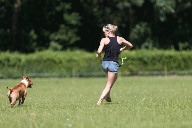 Cs3Q5191 20469825196 O