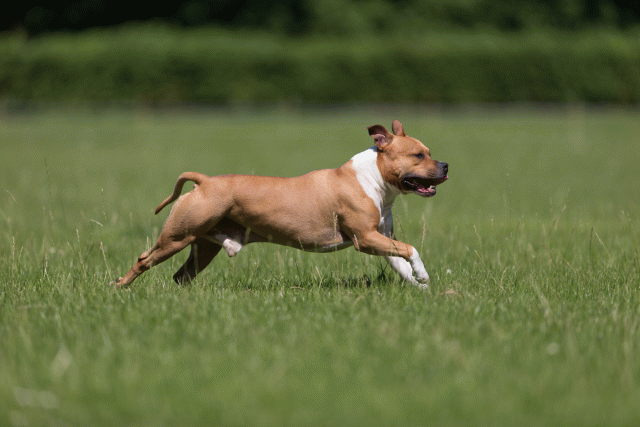 Cs3Q5186 20469830196 O