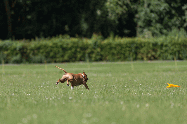 Cs3Q5174 20469843436 O