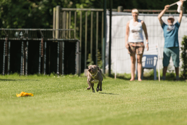 Cs3Q5127 20469867836 O