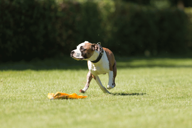 Cs3Q5107 20469880626 O