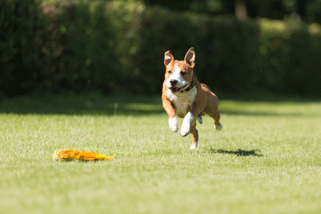 Cs3Q5090 20469894326 O