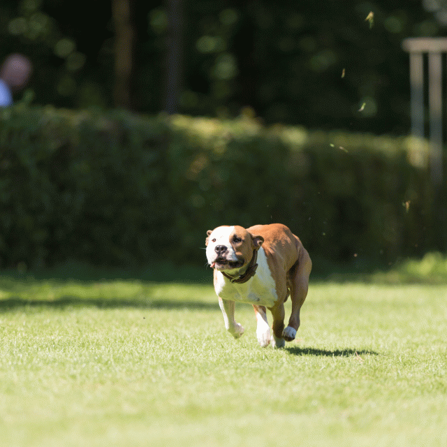 Cs3Q5056 20469915606 O