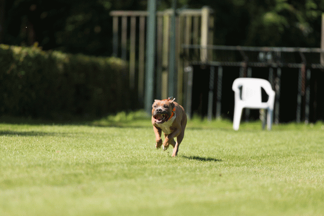 Cs3Q5035 20469928646 O