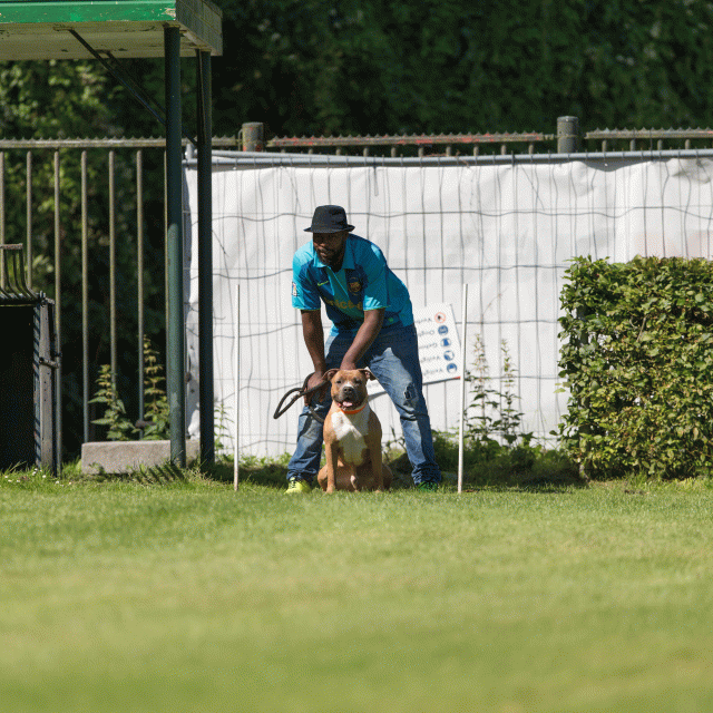 Cs3Q5027 20469937036 O