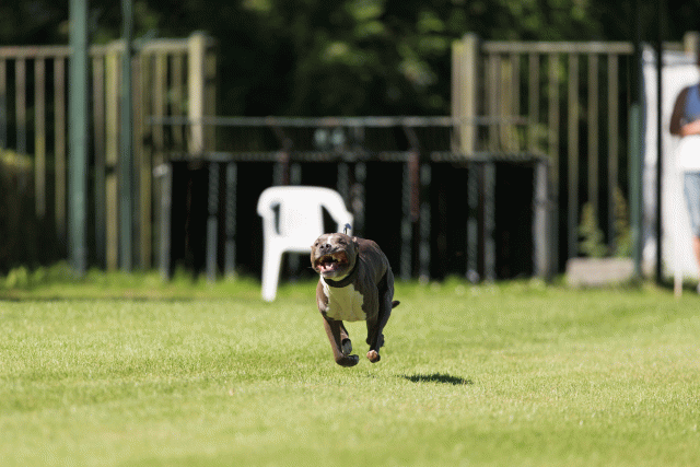 Cs3Q5023 20469939306 O