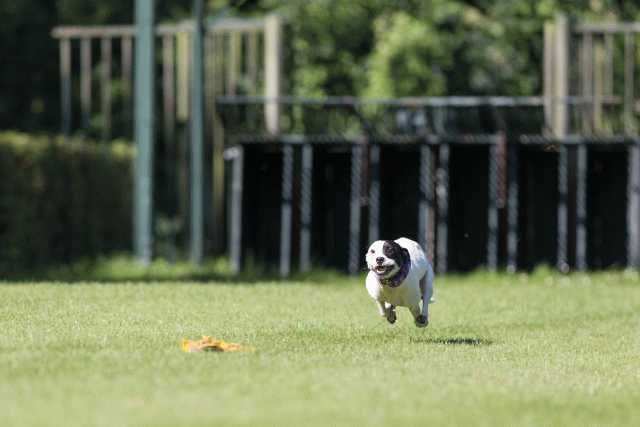 Cs3Q4972 20469965826 O