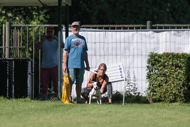 Cs3Q4968 20469968316 O