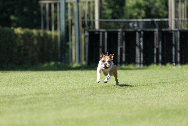 Cs3Q4909 20469977796 O