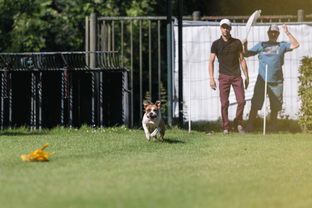 Cs3Q4902 20469985176 O