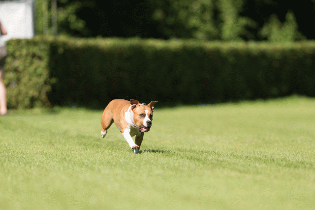 Cs3Q4884 20469994026 O