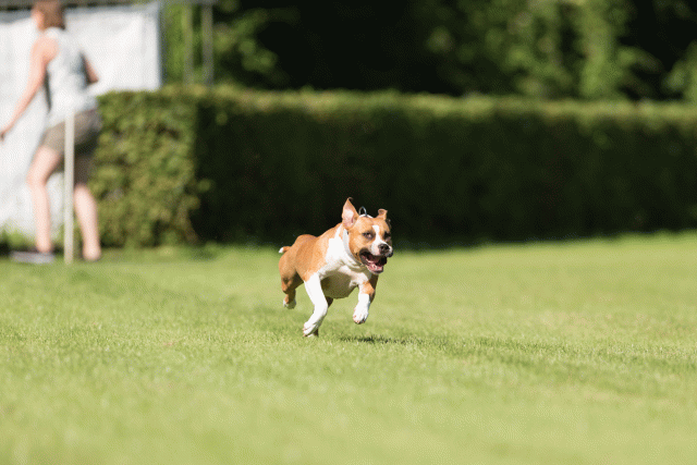 Cs3Q4883 20469994836 O