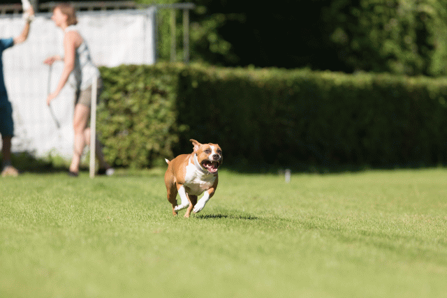 Cs3Q4879 20469999196 O