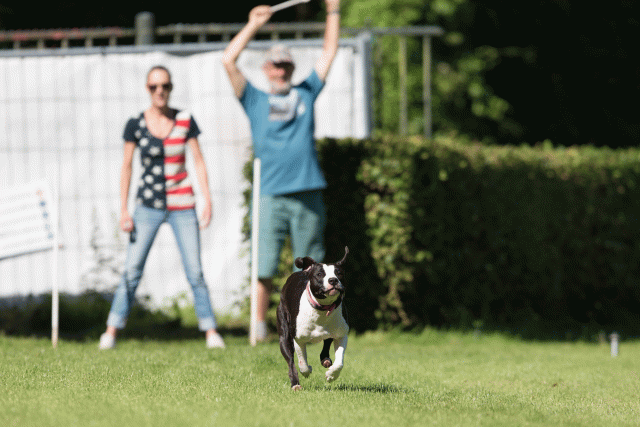 Cs3Q4852 20470017976 O