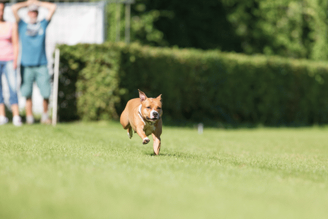 Cs3Q4823 20470025236 O