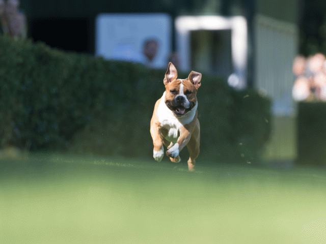 Cs3Q4645 20470052406 O