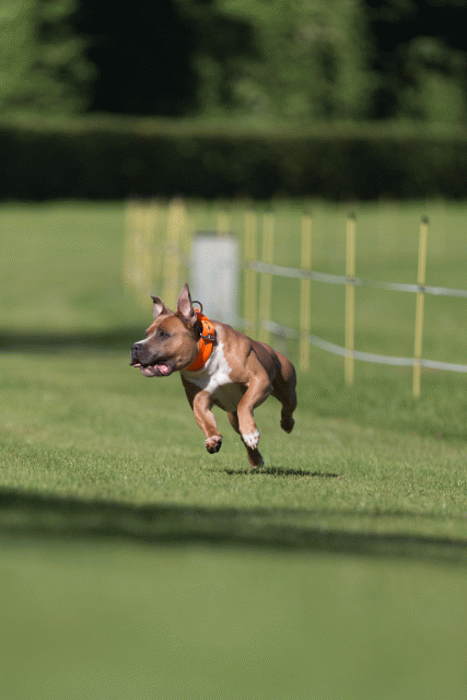 Cs3Q4601 20470053266 O