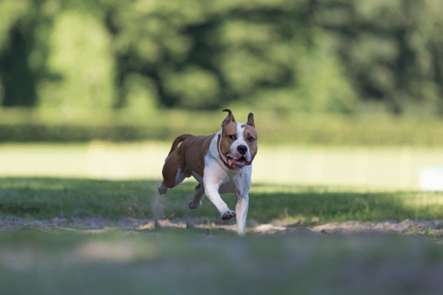 Cs3Q4564 20470069196 O