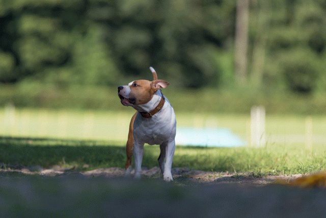 Cs3Q4560 20470074796 O