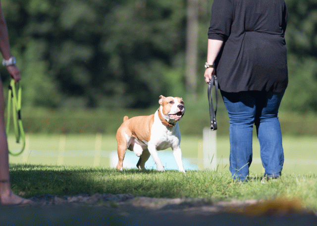 Cs3Q4537 20470098526 O