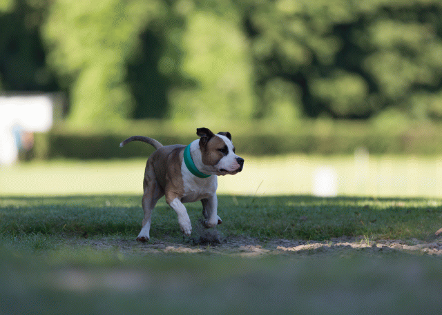 Cs3Q4496 20470125566 O