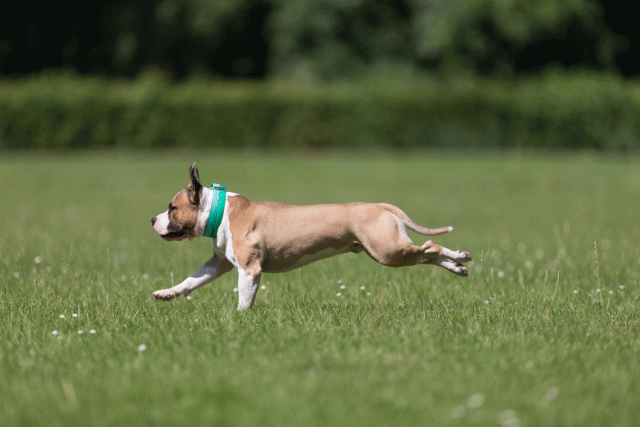 Cs3Q5209 20487239822 O