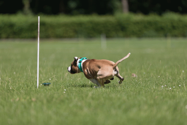 Cs3Q5200 20487250342 O