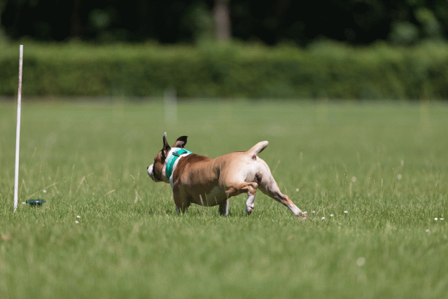 Cs3Q5199 20487251952 O