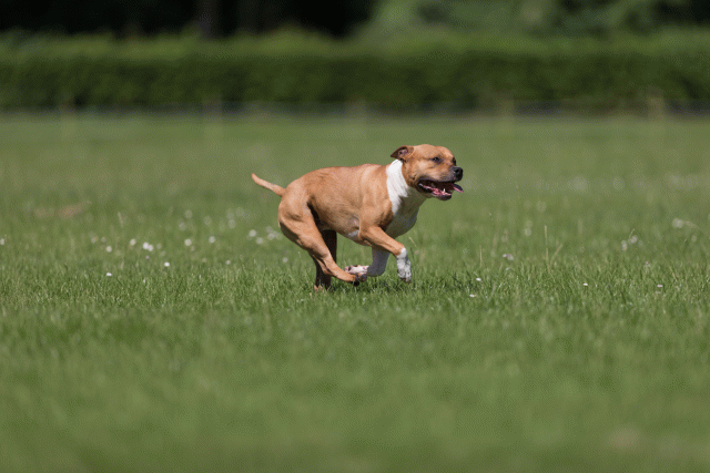 Cs3Q5180 20487269522 O