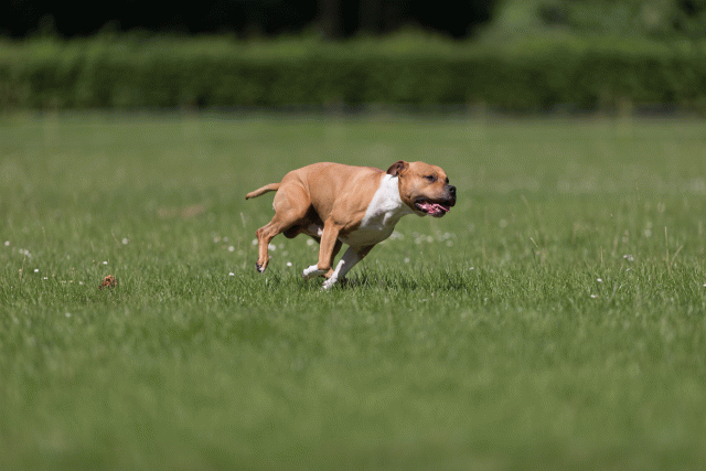 Cs3Q5179 20487271172 O