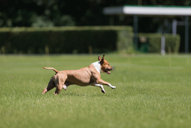 Cs3Q5171 20487275622 O