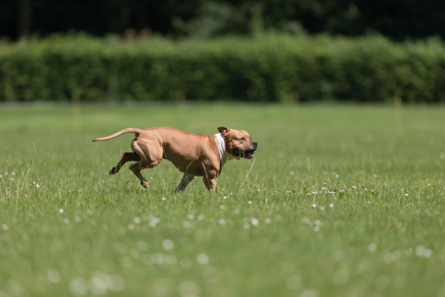 Cs3Q5164 20487281312 O