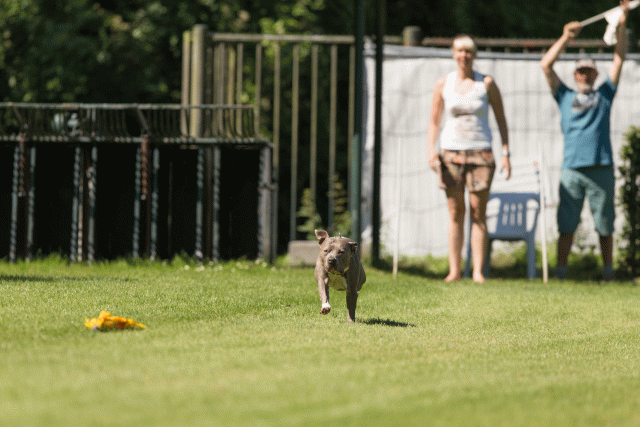 Cs3Q5126 20487298912 O