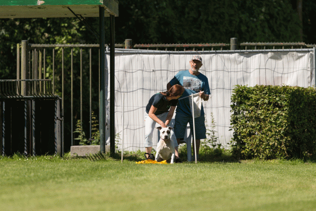 Cs3Q5116 20487304902 O