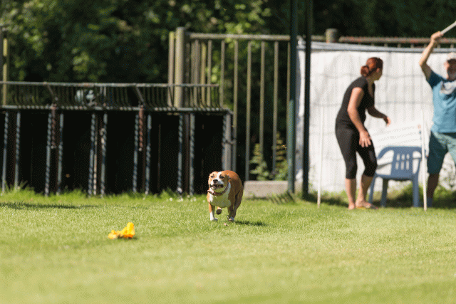 Cs3Q5112 20487307282 O