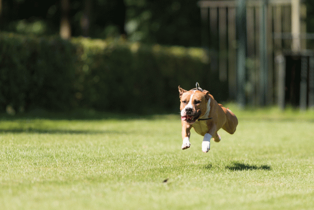 Cs3Q5102 20487315402 O