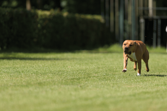 Cs3Q5094 20487320982 O