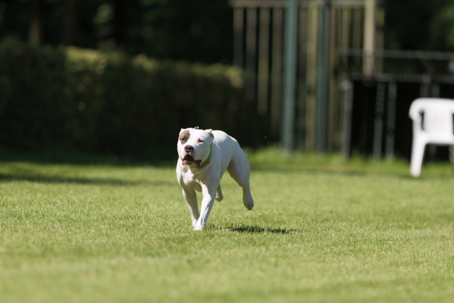 Cs3Q5074 20487336462 O