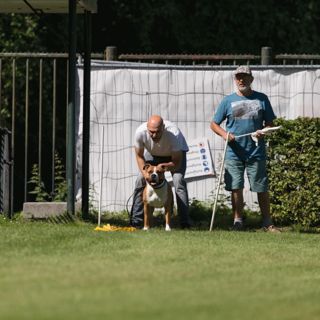 Cs3Q5061 20487345052 O