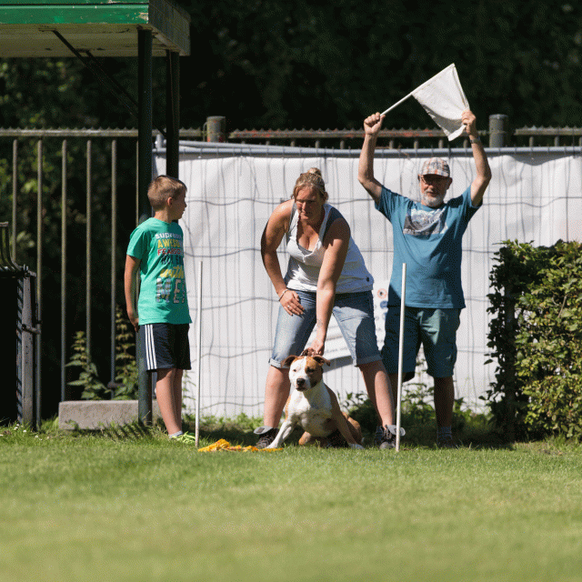 Cs3Q5050 20487348182 O