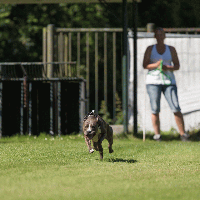 Cs3Q5018 20487375592 O