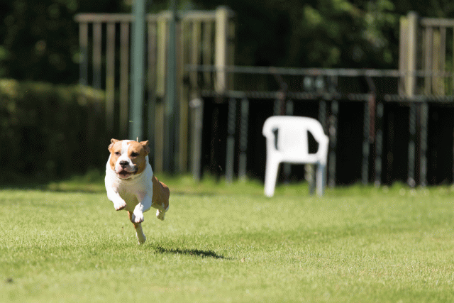 Cs3Q5013 20487378772 O