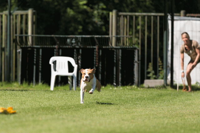 Cs3Q5008 20487382532 O