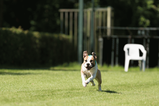 Cs3Q5000 20487387982 O