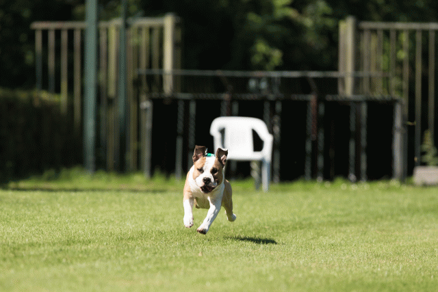 Cs3Q4997 20487390492 O