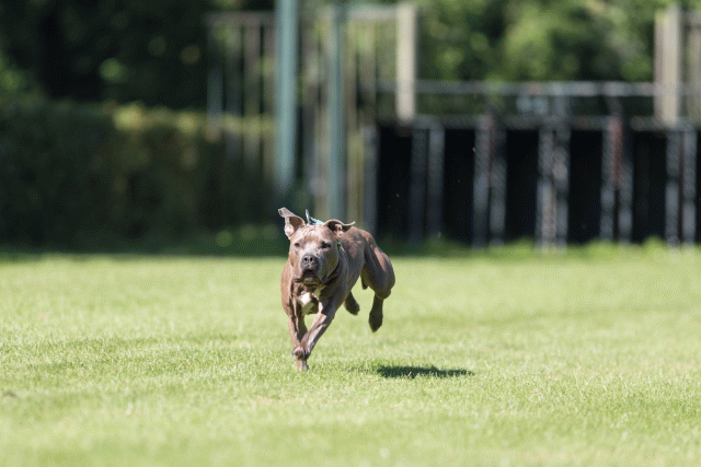 Cs3Q4922 20487403182 O