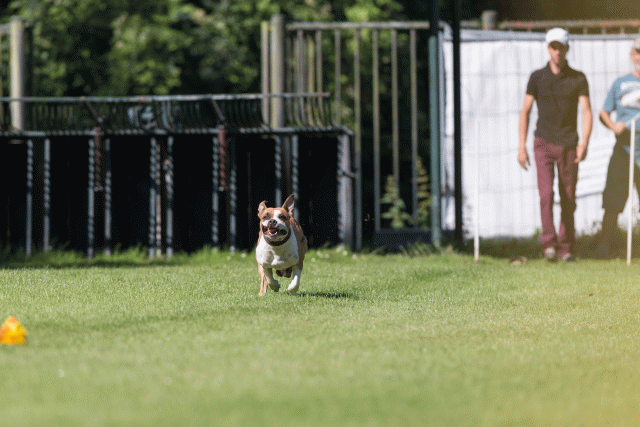 Cs3Q4907 20487411532 O