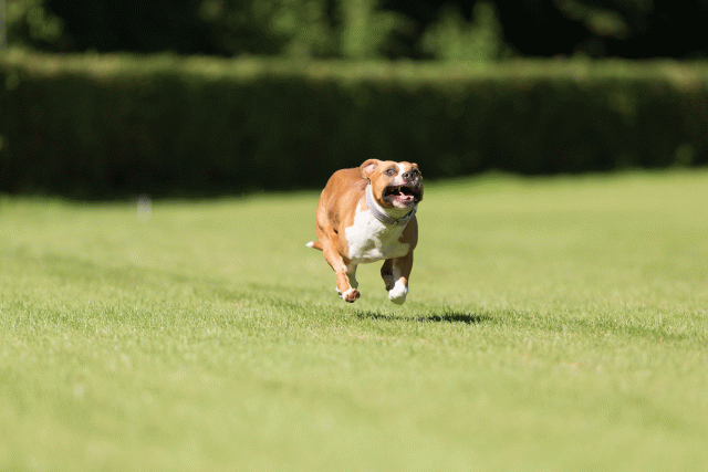 Cs3Q4889 20487422162 O